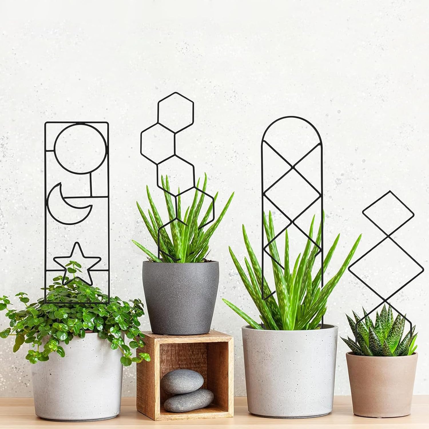 Garvee 12 Packs Plant Trellis for Climbing Plants, Trellis with Rust-Resistant Coating for Outdoor Garden Pot, Thickened Small Plant Supports, 4 Different Patterns for Plant Flower(with 100 Ties)