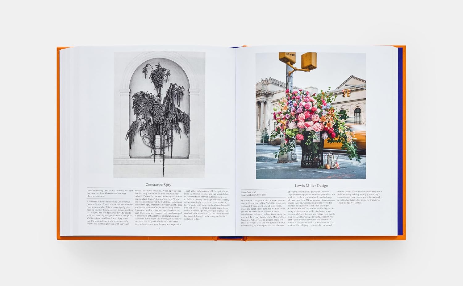 Flower: Exploring the World in Bloom (Phaidon Compacts)