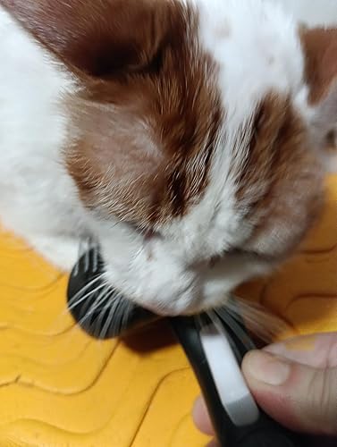 Bewertung von Karin Hoffmann