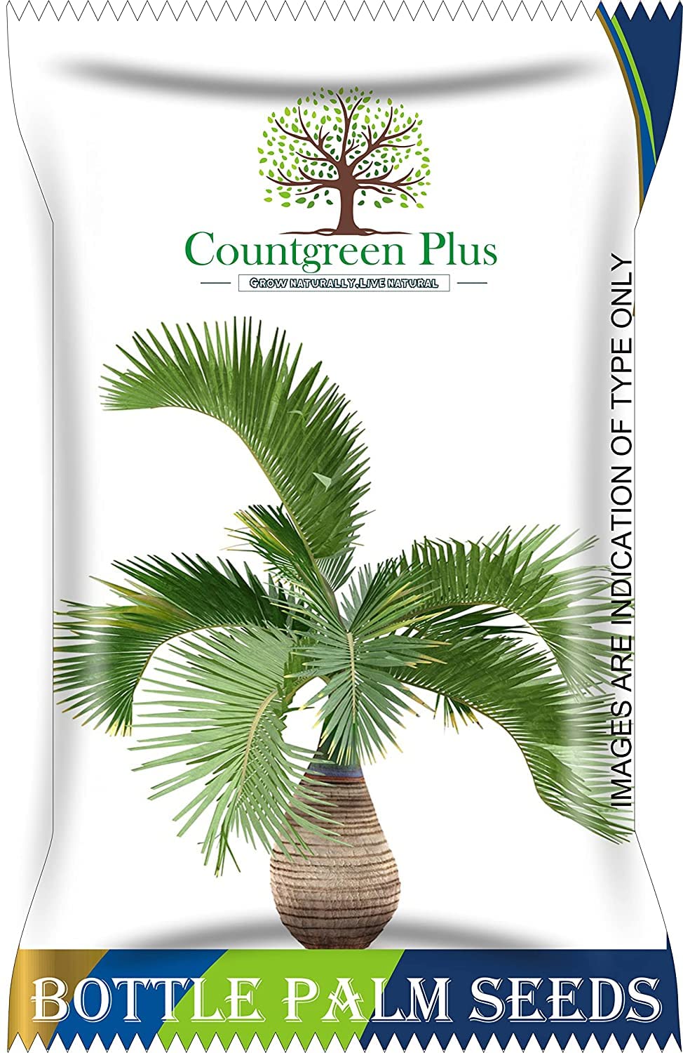 Countgreen Plus Royal Bottle Palm Plant Fresh Green Plant Seeds | Hyophorbe Lagenicaulis Ornamental Tree 10 Seeds For Home Garden (B0B8343DNR) Amazon Price History, Amazon Price Tracker