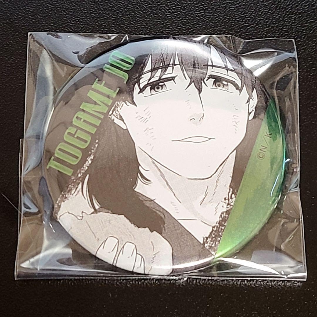 Amazon.co.jp: WIND BREAKER 十亀条 ジュエリー缶バッジ 第一弾 