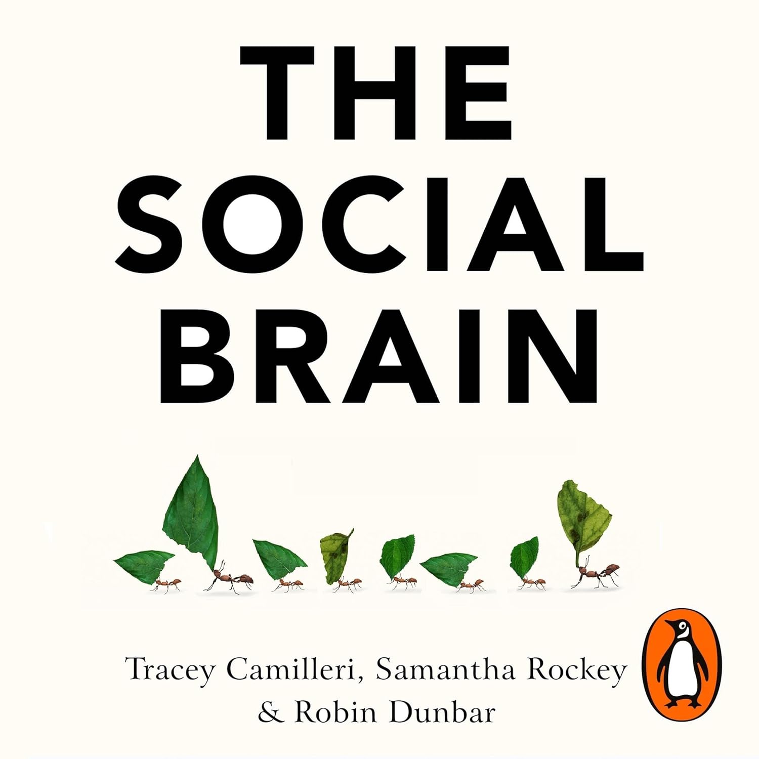 The Social Brain: The Psychology of Successful Groups (Audio Download ...