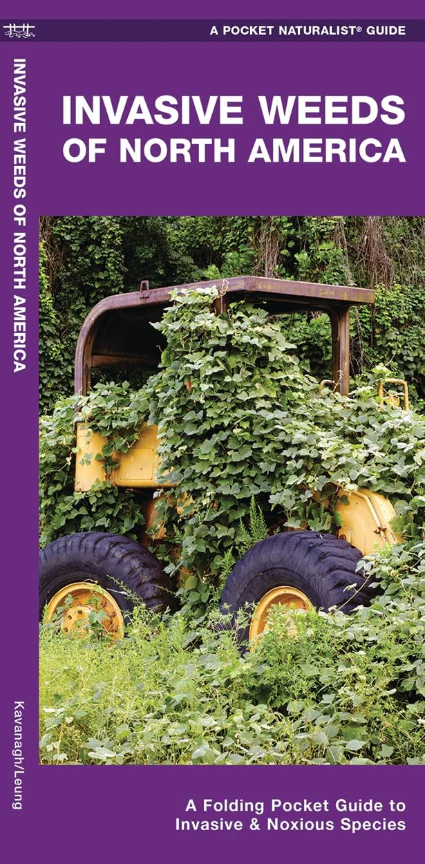 Invasive Weeds of North America: A Folding Pocket Guide to Invasive & Noxious Species (Nature Observation North America)