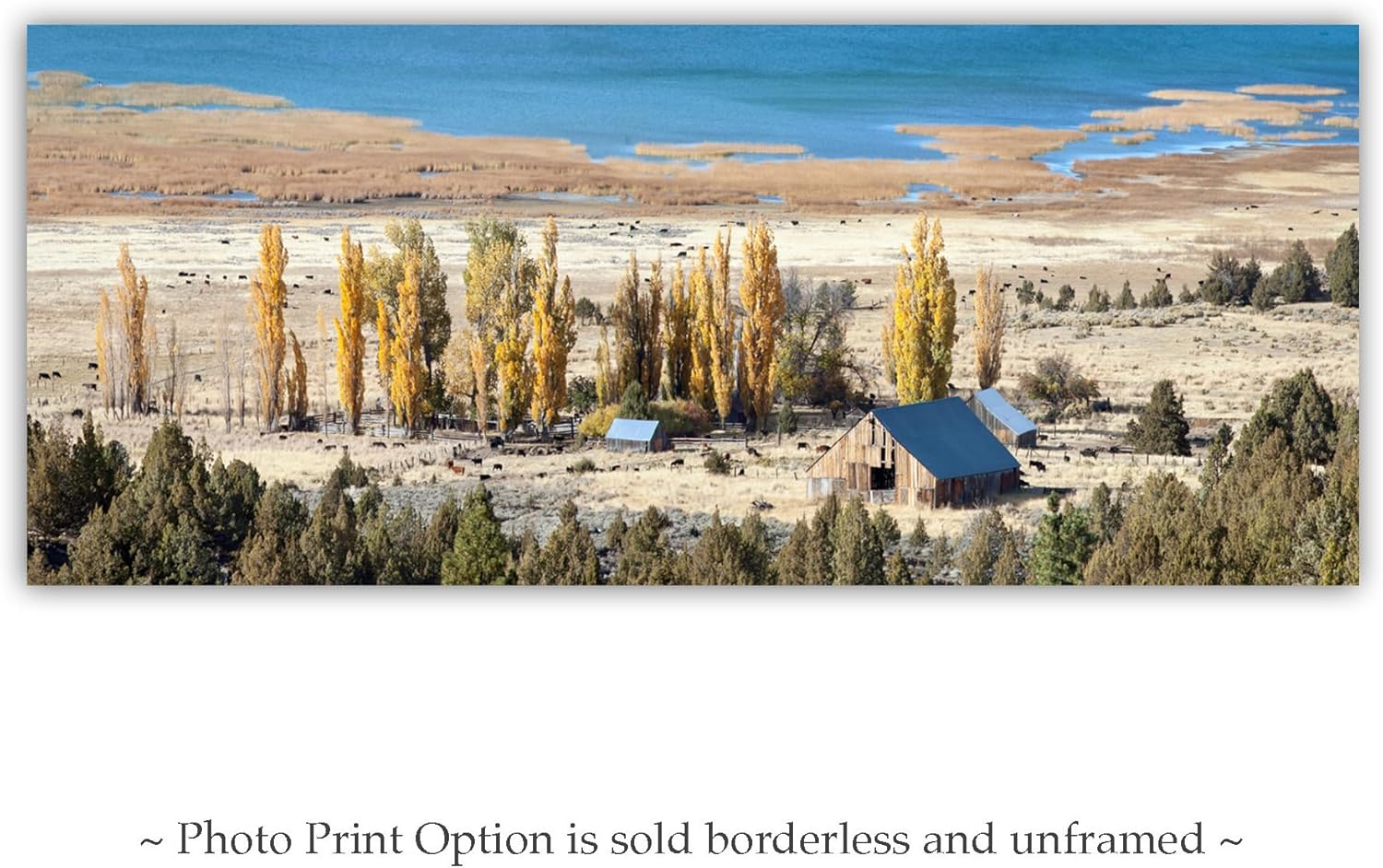Western Ranch Panoramic Photograph with Autumn Landscape in Northeast California