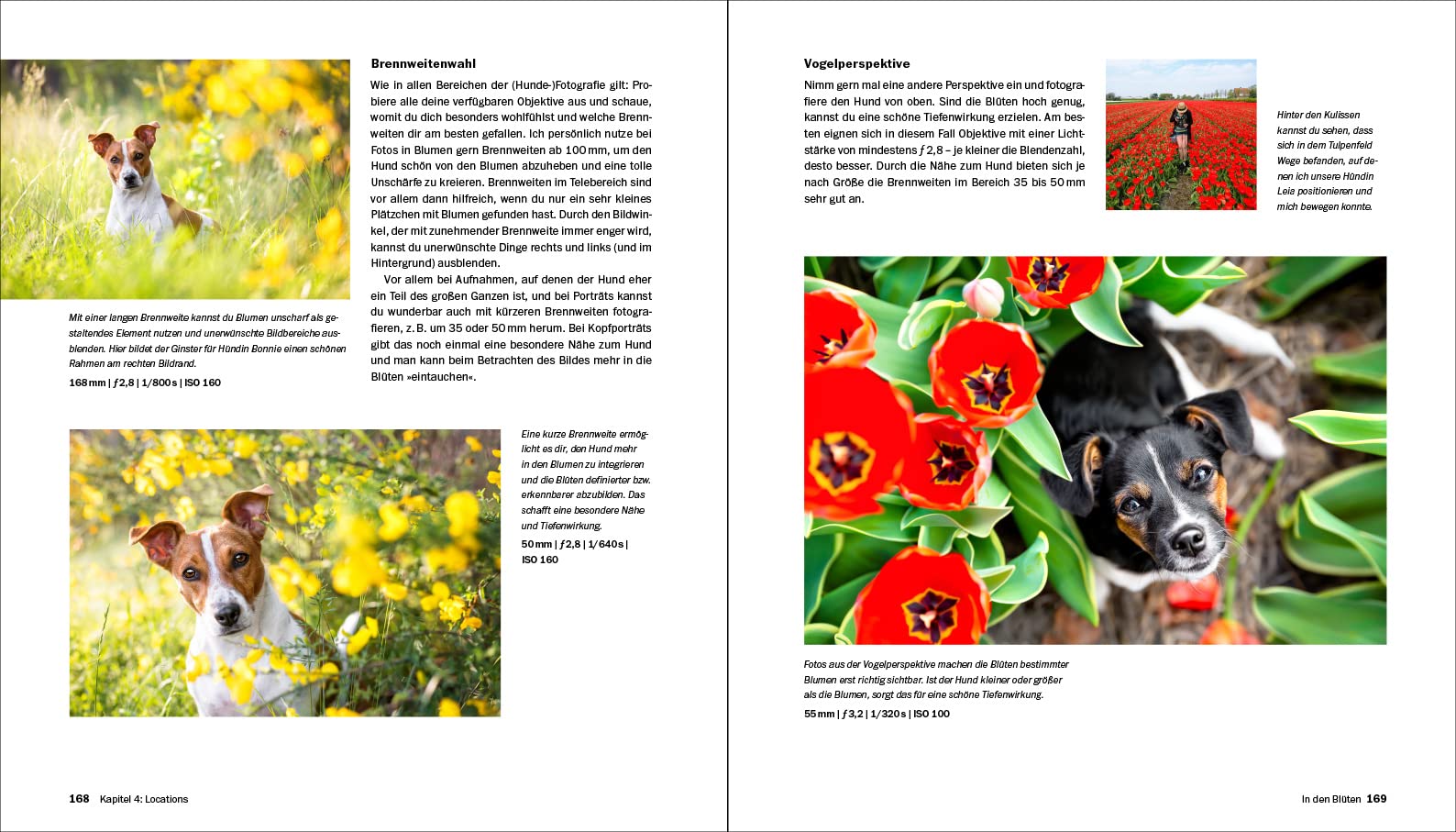 Hundefotografie: Fellnasen liebevoll in Szene setzen. So gelingen Hundeporträts mit Ausdruck und Witz – draußen und im Studio. 350 Seiten Profi-Wissen