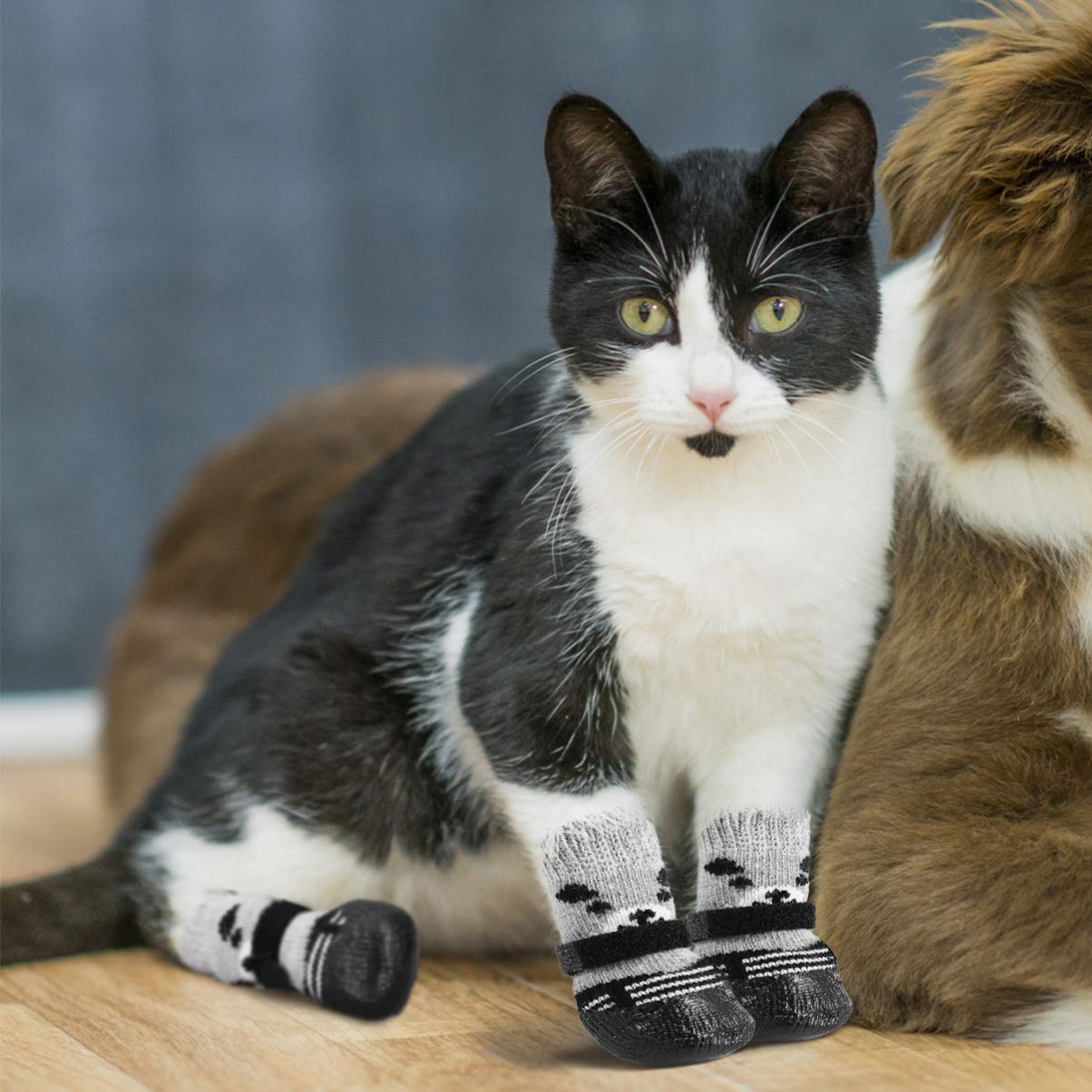 3 Paires De Chaussettes Femme Motifs Chiens Et Chats - Taille 9-11 - Néons - Neuf Avec étiquettes