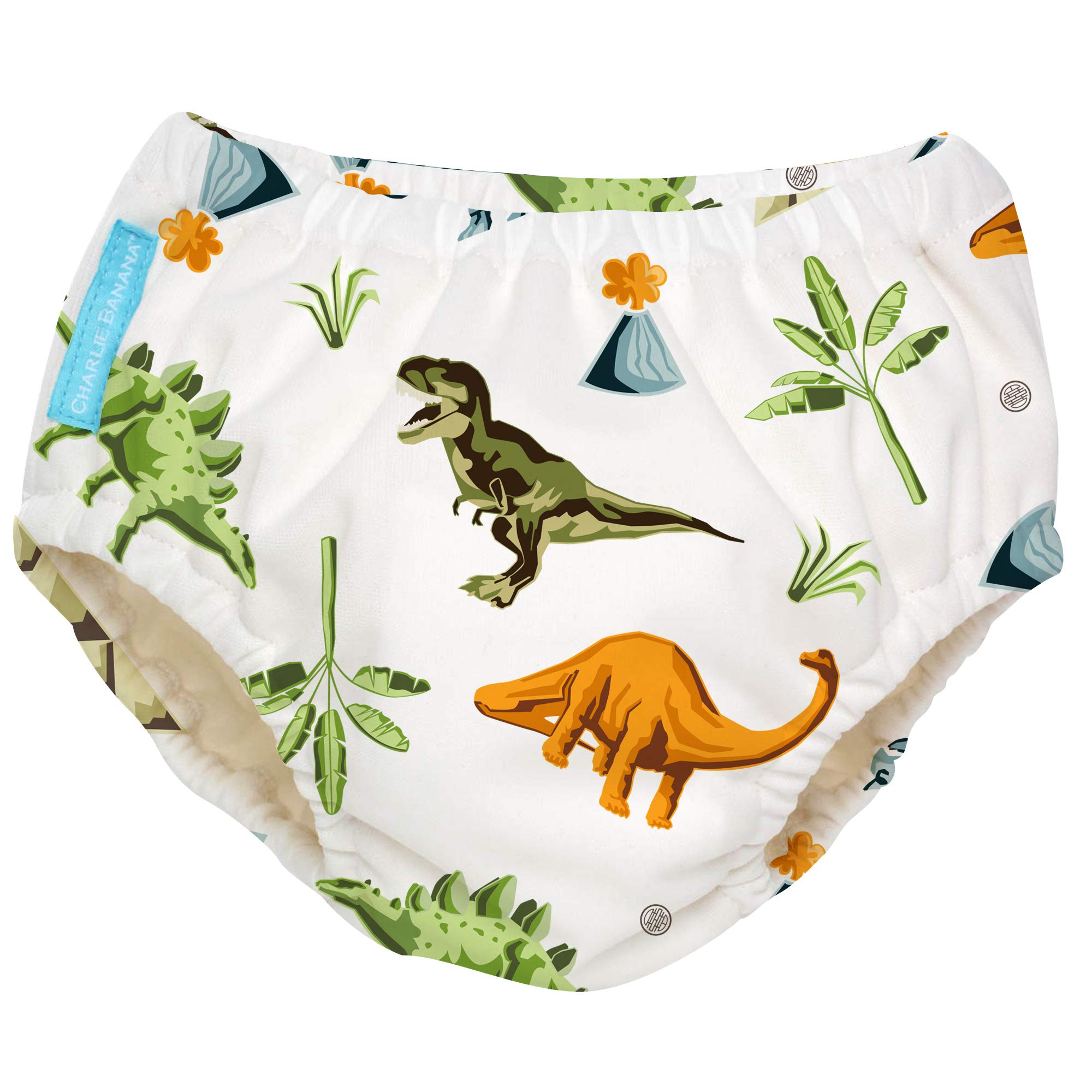 Baby REUsable And Washable Swim Diaper For Boys Or Girls, Dinosaurs, Large
