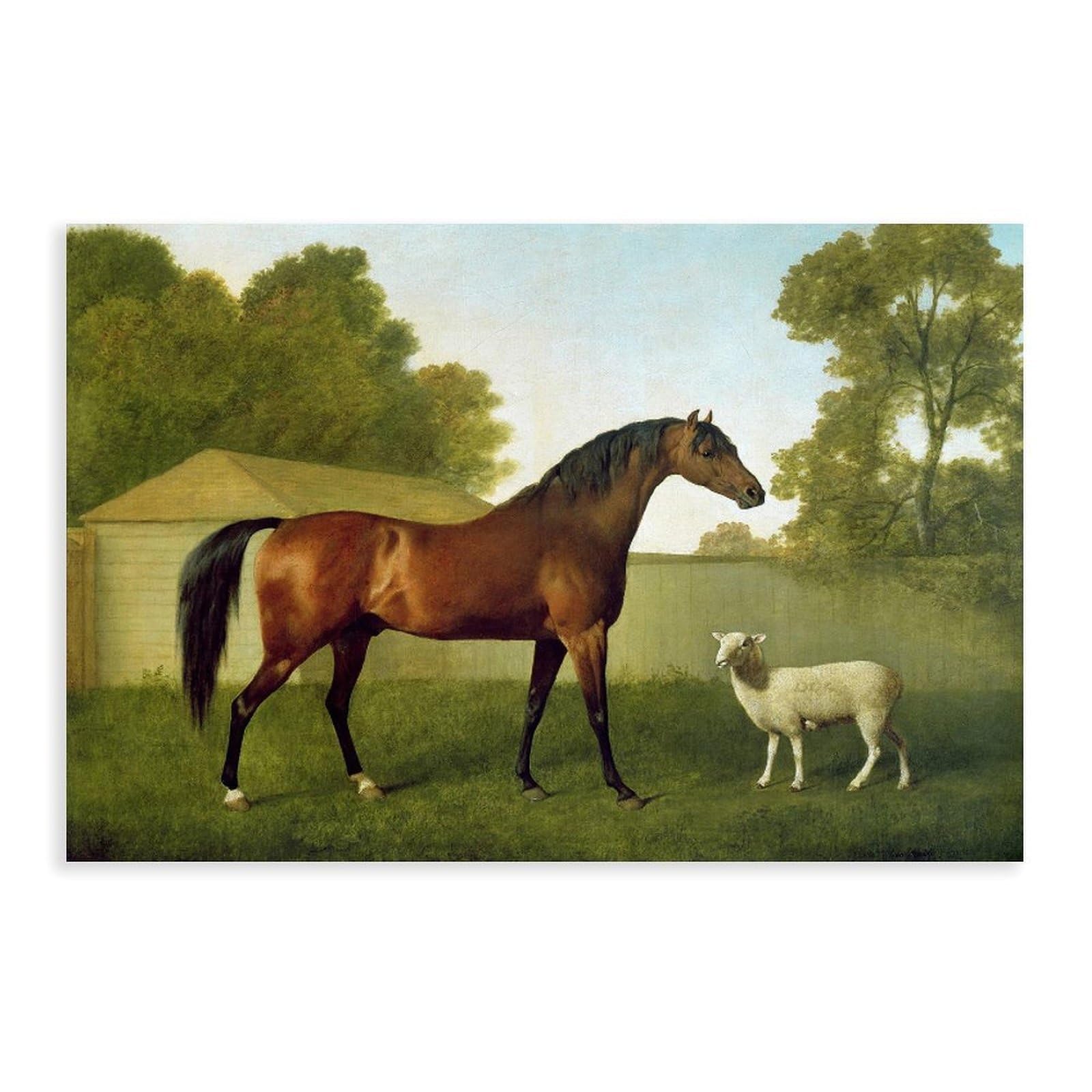 DFJyjFGJJ George Stubbs,Dungannon, The Property Of Colonel Okelly, Painted In A Paddock With A Sheep Canvas Posters Wall Art Bedroom Office Room Decor Gift 12" L X 18" W
