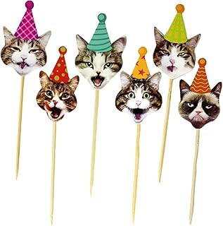 wallpapers Party Hat Meme Sad Birthday Cat amazon com grumpy cat birthday