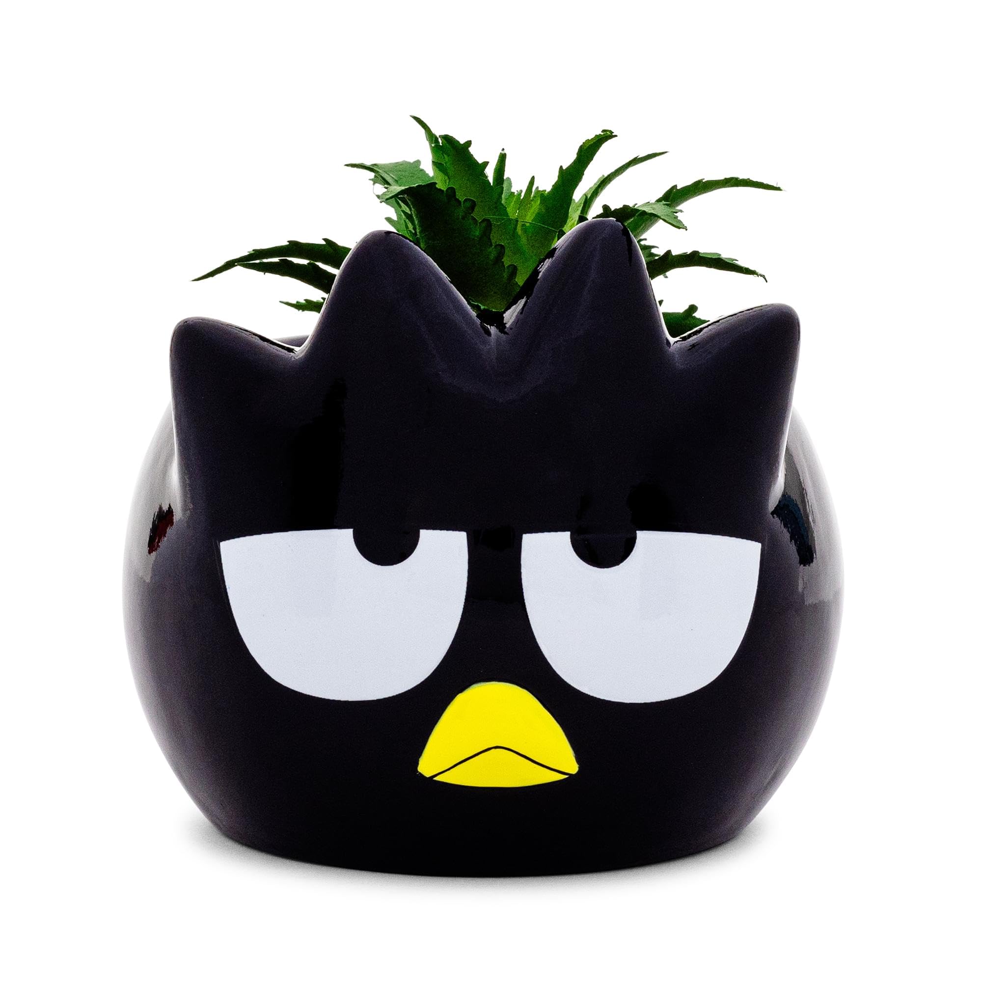 Silver Buffalo Multi-Colored Sanrio Badtz-Maru 3-Inch Ceramic Mini Planter With Artificial Succulent