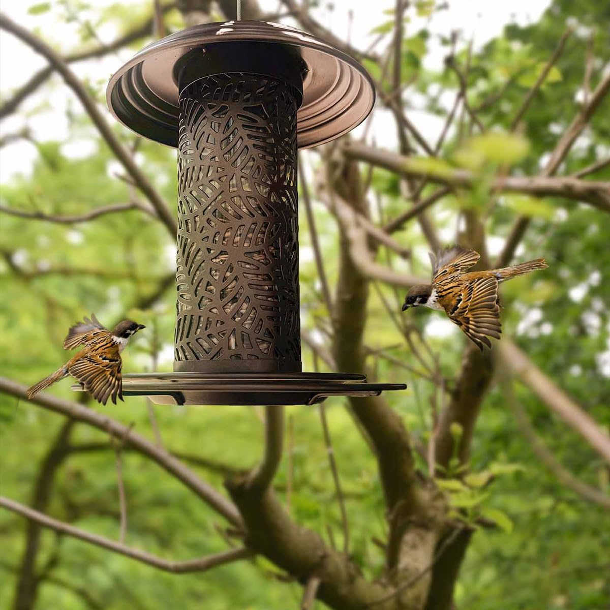 Metal Bird Feeders for Outdoor Hanging Wild Bird Seeds Attracting Chickadees Goldfinches Cardinals Finches Sparrows