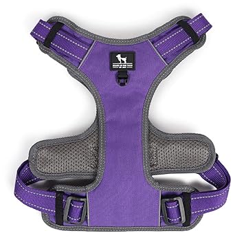 Heads Up for Tails Active Pet Dog Harness - Purple - M
