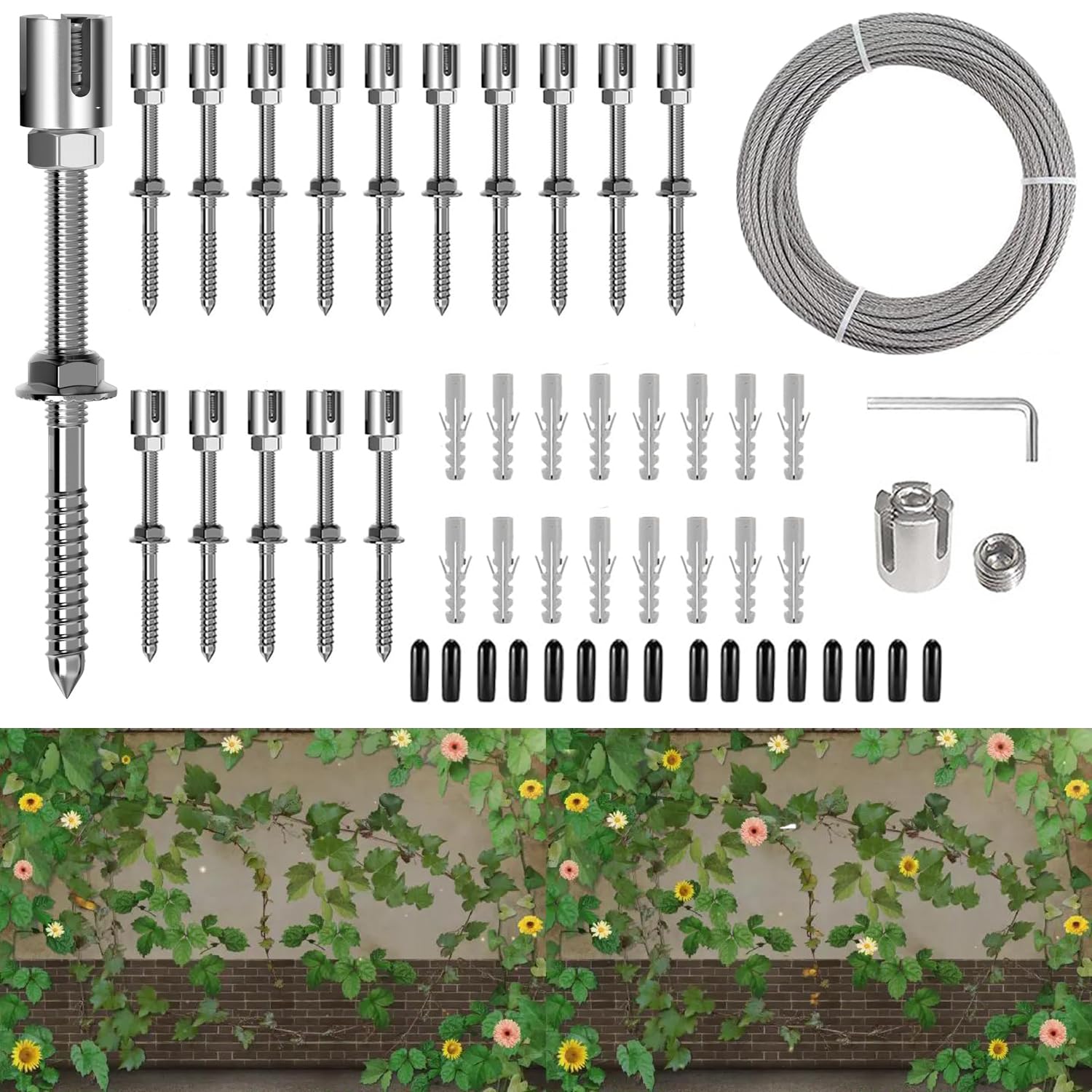 Supporto per Piante Rampicanti in Acciaio Inox,Sistema Professionale Completo,Corda da Parete per Piante in Durevole(16 Supporti, 24m Corda)