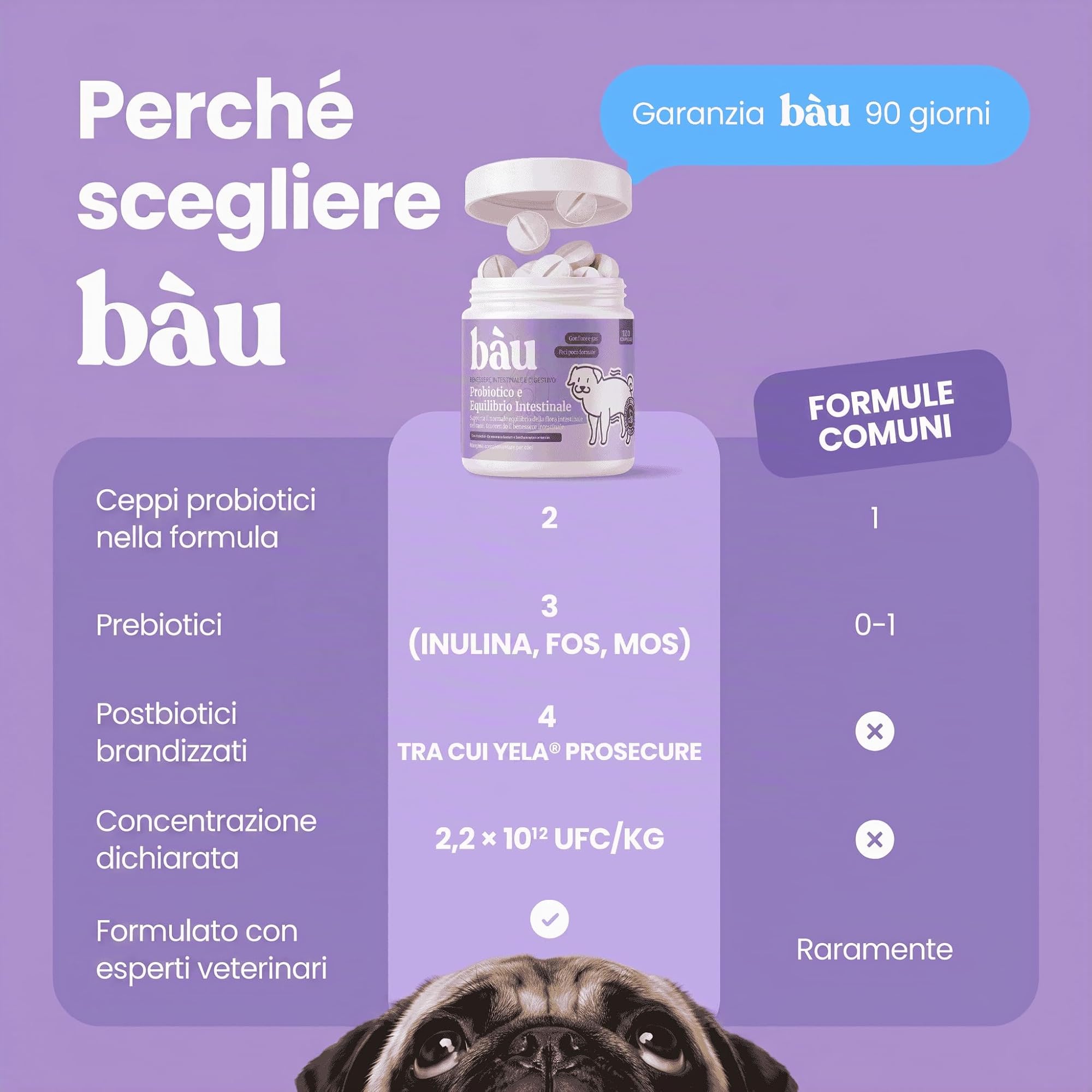 Bau Probiotici per Cani, Fermenti Lattici Cane, Supporto Gastrointestinale Cane, Probiotico Digestivo per Cani Prurito, Integratore Diarrea Cane con Ingredienti Naturali, Probiotico Cane (120)