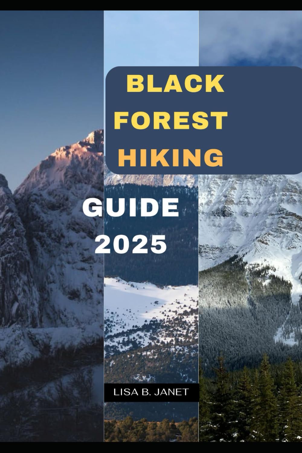 BLACK FOREST HIKING GUIDE 2025: 109 (Wanderlust 2024: Uncovering Hidden Gems)