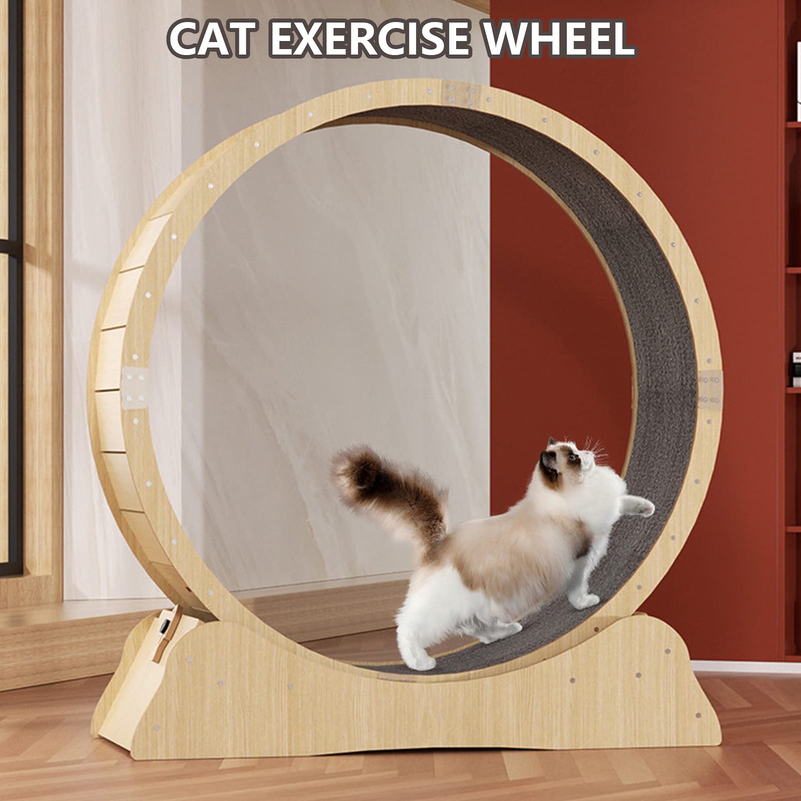 Kat Oefenwiel Voor Binnenkatten, Grote Katten Loopband Voor Alle Grote Katten, Huisdier Klimmen Frame Katten Exerciser Met Afneembare Tapijt Baan