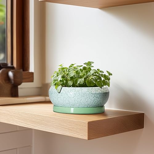 Miniatura 6 de Maceta para suculentas de 6 pulgadas, macetas de cerámica para bonsái para interiores y exteriores, macetas poco profundas con orificio de drenaje y