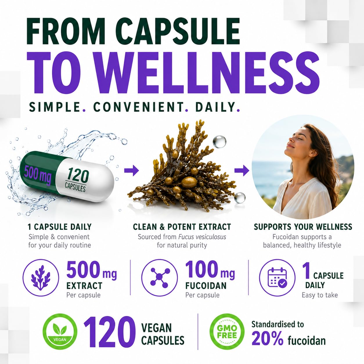 Hepatica Fucoidan 100 mg | 10.000 mg Äquivalent | 500 mg 20:1 Blasentang (Fucus vesiculosus) Extrakt | 120 vegane Kapseln | GMP & Laborgeprüft