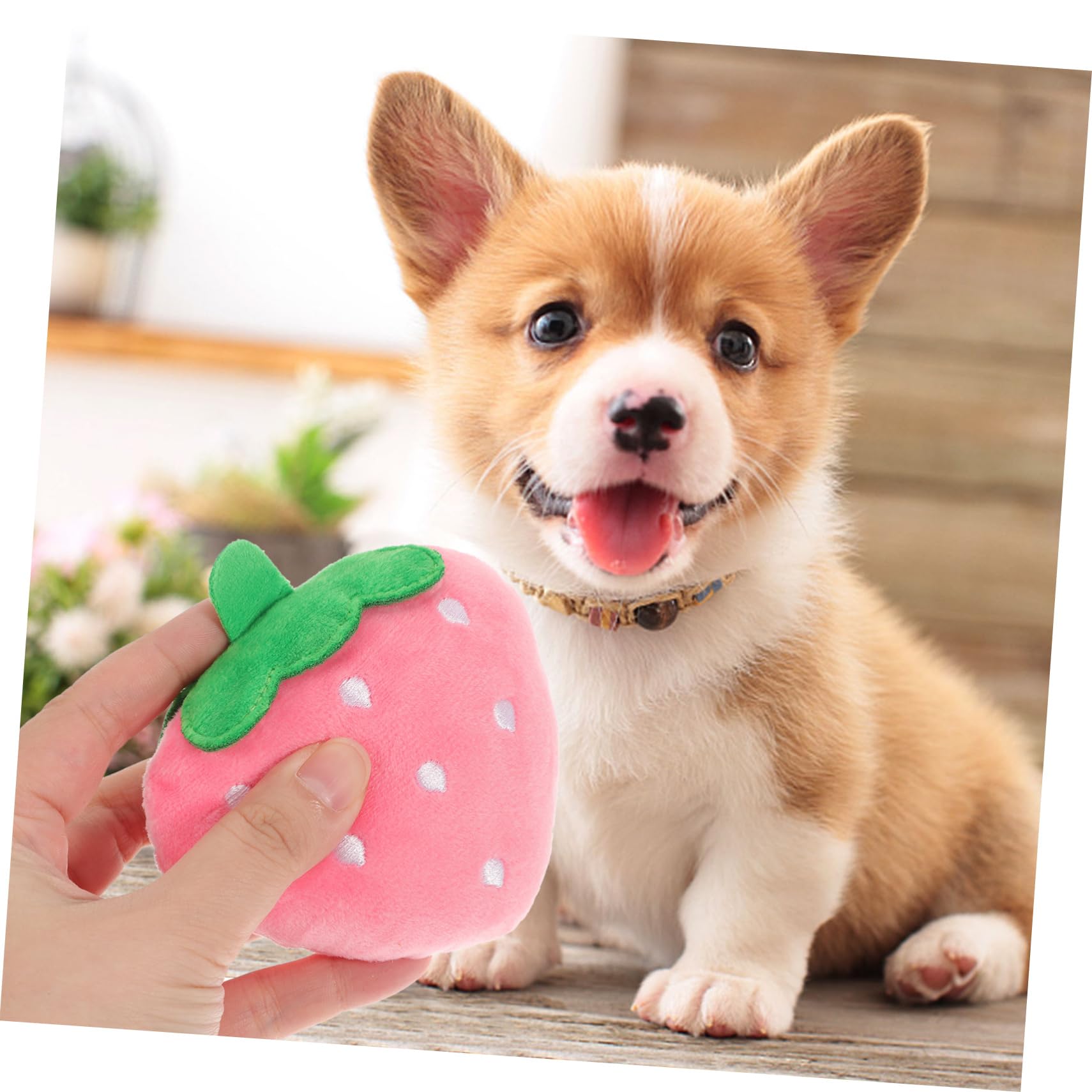 FOMIYES Jouet À Mâcher Couineur pour Chien Jouets pour Animaux De Compagnie pour Chiens Formation Matériau Sûr Jouet Interactif pour Chiot Jouets Sonores pour Animaux De Compagnie
