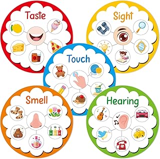 5 Senses Learning Activity for Kids Educational Teacher Supplies Five Senses Sorting Cards Learning Game Develop Fine Motor Skills for Toddlers Preschoolers and Kindergarteners Homeschool Must Haves