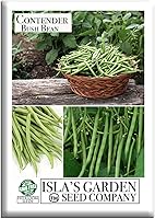 Contender Bush Bean Seeds - 50 Non-GMO Heirloom Green Beans | Early-Maturing Tender Pods for Raised Beds, Containers by Isla's Garden Seeds