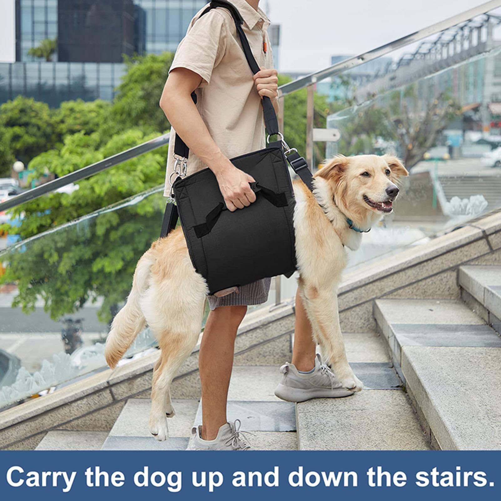 Porte-Chien,Aide d'escalier pour Chien - Aide à l'escalier Respirante, Aide à la Marche réglable et Robuste pour Chiens handicapés, âgés et paralysés