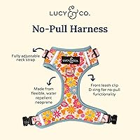 Vista 13 de Lucy & Co. Arnés para perro Midnight No-Pull – Talla M – Chaleco para dejar de tirar y caminar fácil – Cómodo producto de entrenamiento de correa