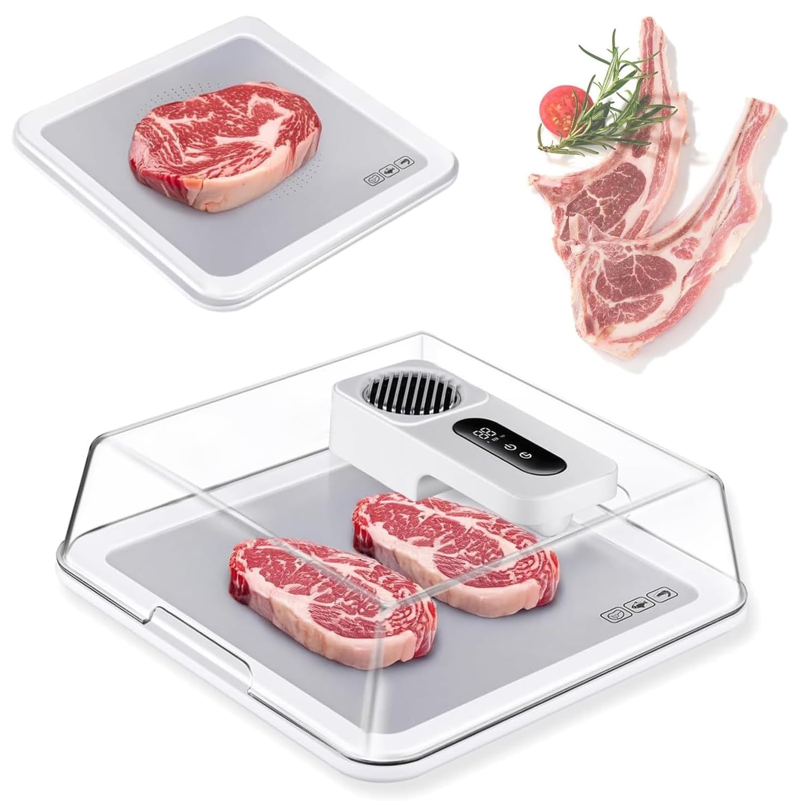 Scongelamento elettrico da 4,2 l, vassoio per scongelare la carne, con batteria da 2000 mAh, 10 minuti di scongelamento rapido, per bistecche, pollo, pesce, gamberetti e frutti di mare surgelati