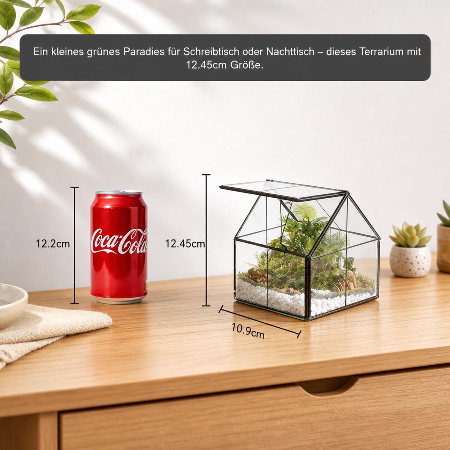 Planta de vidrio Terrario Contenedor Wardian Caso Interior Pequeño Suculento Terrario Planta w/Puerta para Decoración de Mesa DIY (4.3" L x 4.3" W x 4.9" H)