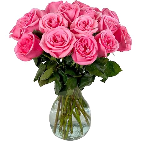 Amazon Com From You Flowers 一打長莖紅玫瑰 附免費花瓶 鮮花 雜貨和美食 Amazon Com From You Flowers 一打長莖紅玫瑰 附免費花瓶 鮮花 雜貨和美食