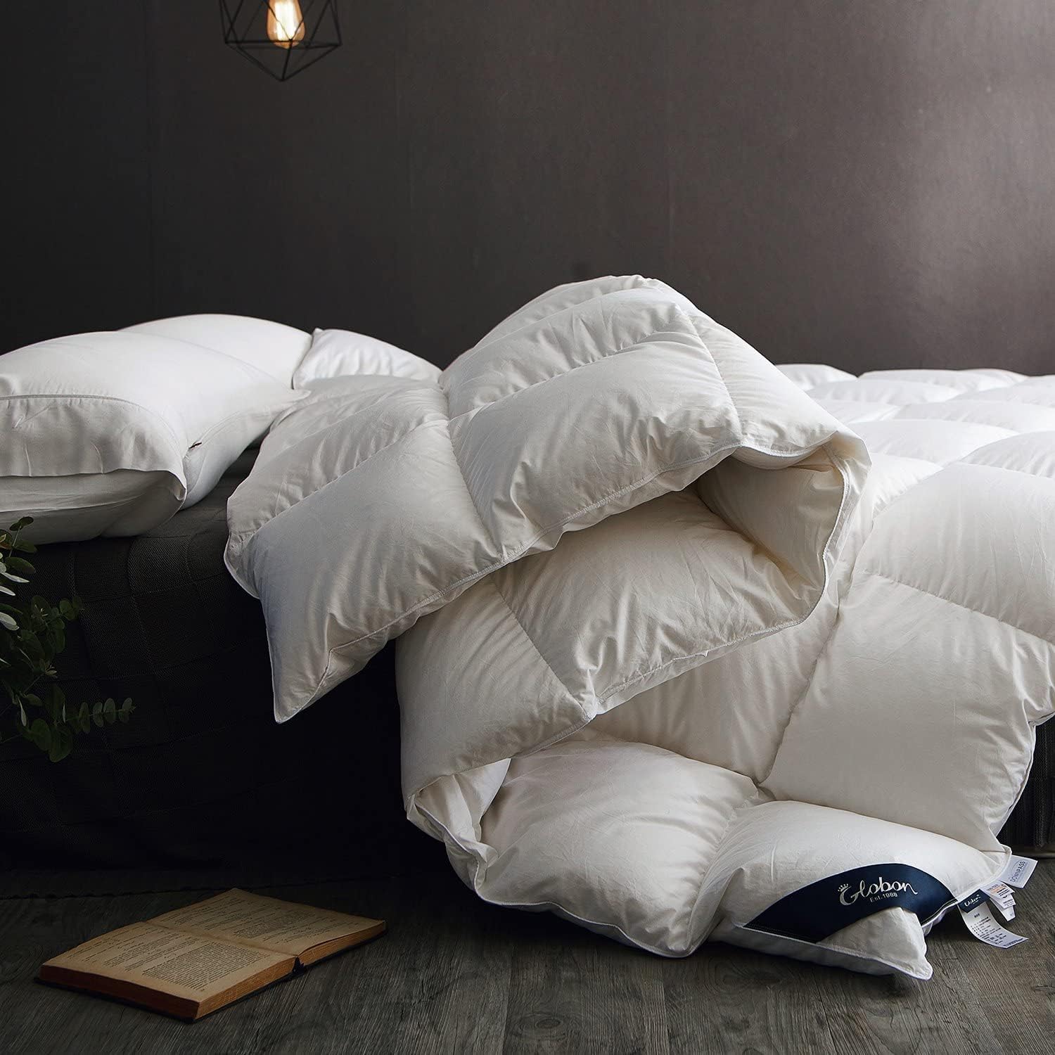 GlobonWinter Down Comforter Queen Size,Heavyweight Duvet Insert for Clod Sleepers,Noiseless Soft Shell,with 8 Corner Tabs, WhiteOEKO-TEX STANDARD 100
