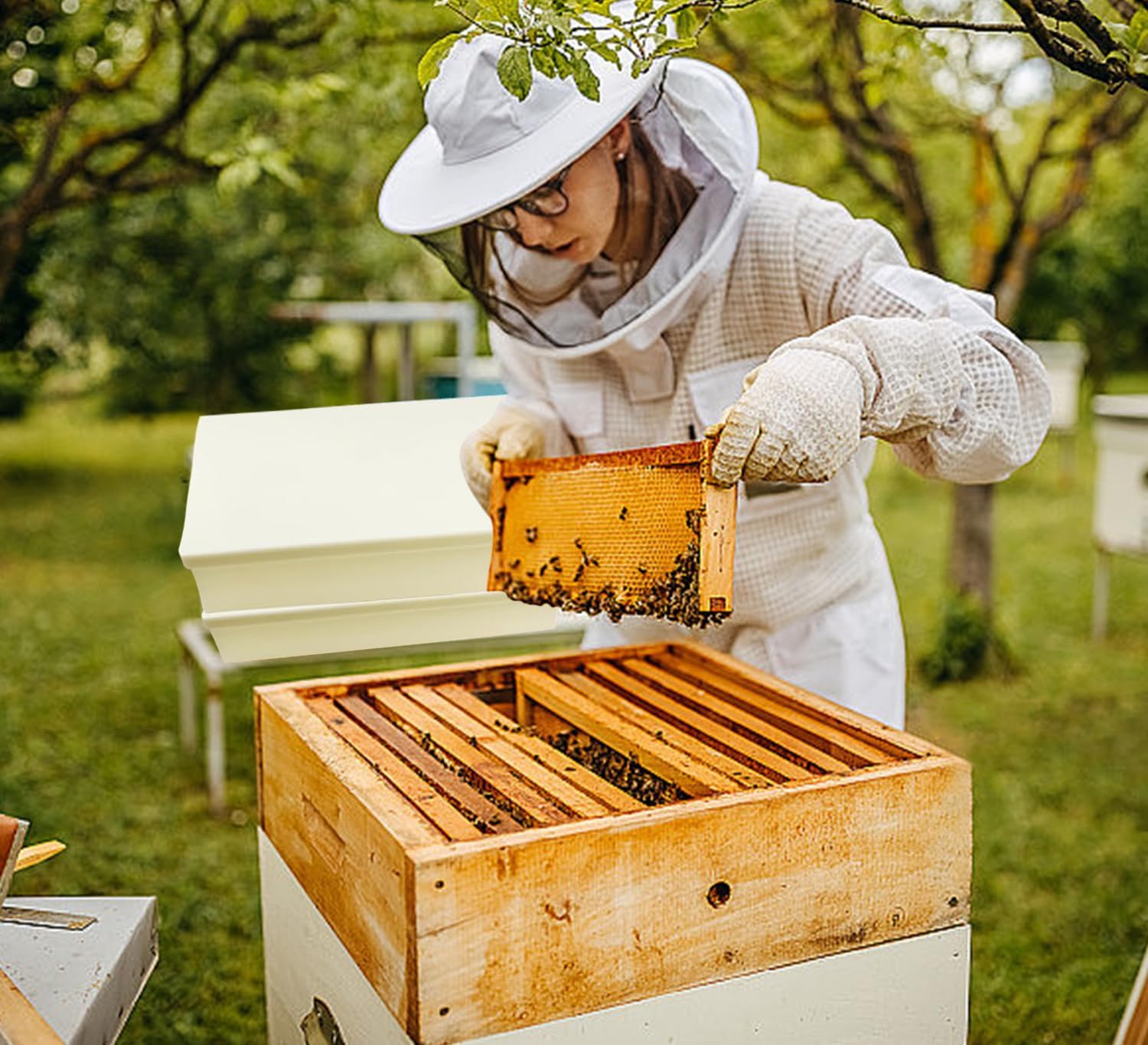 All Season Bees Feeder Fit for 10 Frame Langstroth Hives 1.5 Gallon Capacity Splashproof ABS Construction Anti Drowning Square Bees Feeder