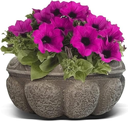 Miniatura 1 de Elly Décor Maceta de plástico Cantera de 10 x 5 pulgadas, diseño de cantera decorativa para plantas de interior y exterior, maceta redonda, cantera