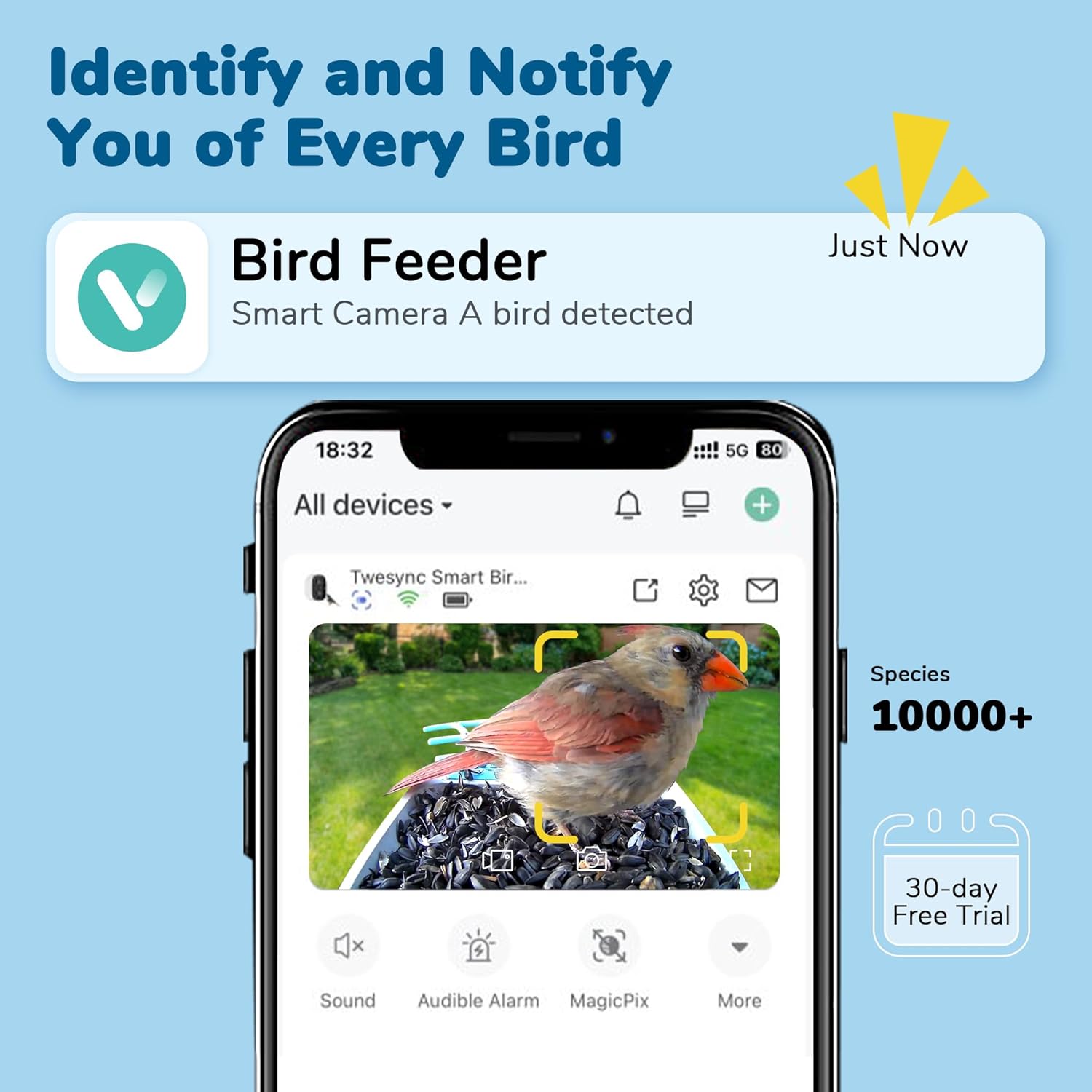 Smartphone screen showing bird detection notification from the feeder camera