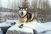 Vista 2 de TRUE LOVE Zapatos para perros Botas de lluvia antideslizantes impermeables con reflectante TLS3961 (negro, 1#)