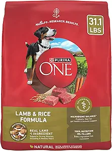 Purina ONE Dry Dog Food Lamb and Rice Formula - 31.1 lb. Bag