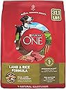 Purina ONE Dry Dog Food Lamb and Rice Formula - 31.1 lb. Bag