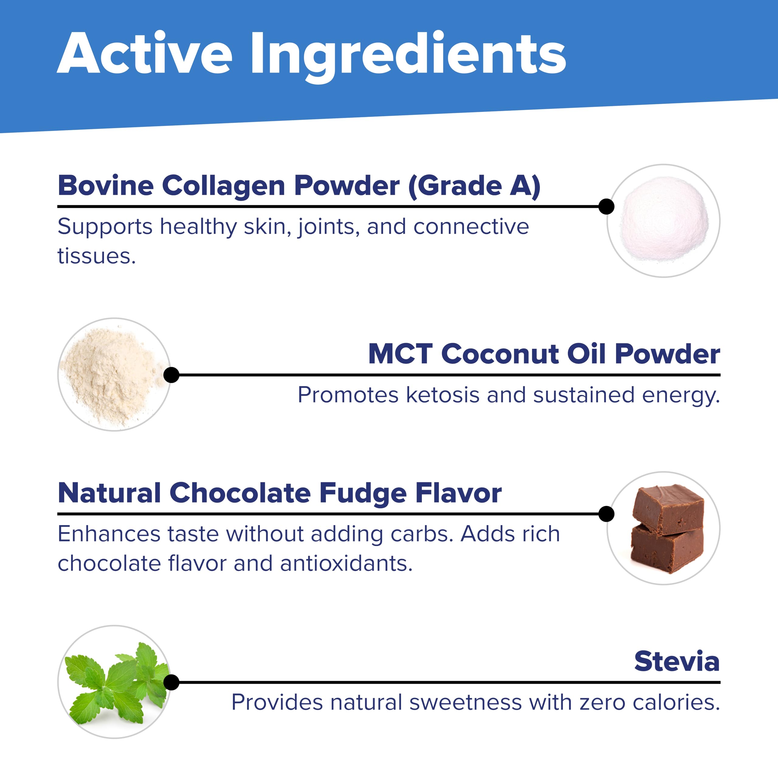 Superior Source Keto Collagen - Collagen Protein Powder with MCT Oil - Supports Hair, Skin, Nails & Joint Health - Dairy-Free - Chocolate, 14 oz