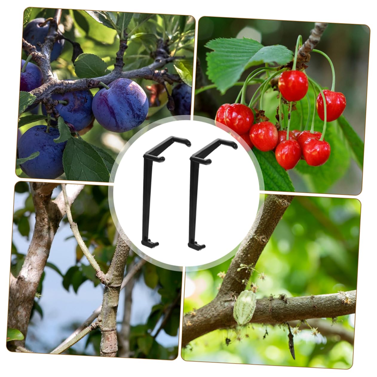 50pezzi Spreader per Rami Plastica per Alberi da Frutto Utensili per Giardinaggio Supporto per Crescita e Forma dei Rami Accessori per Giardiniere Professionista e Hobbista