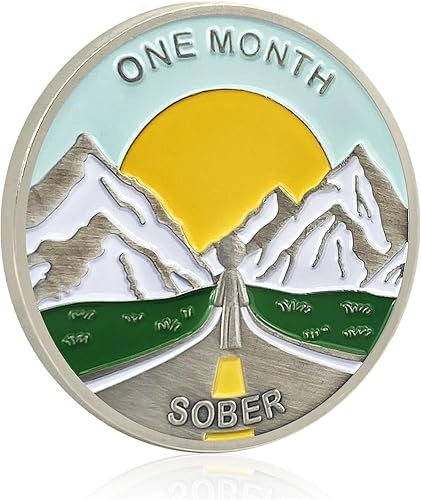 Miniatura 2 de Moneda de sobriedad de 8 meses con chips AA y medallones de ocho meses de sobriedad de chips de sobriedad regalos para hombres mujeres alcohólicos