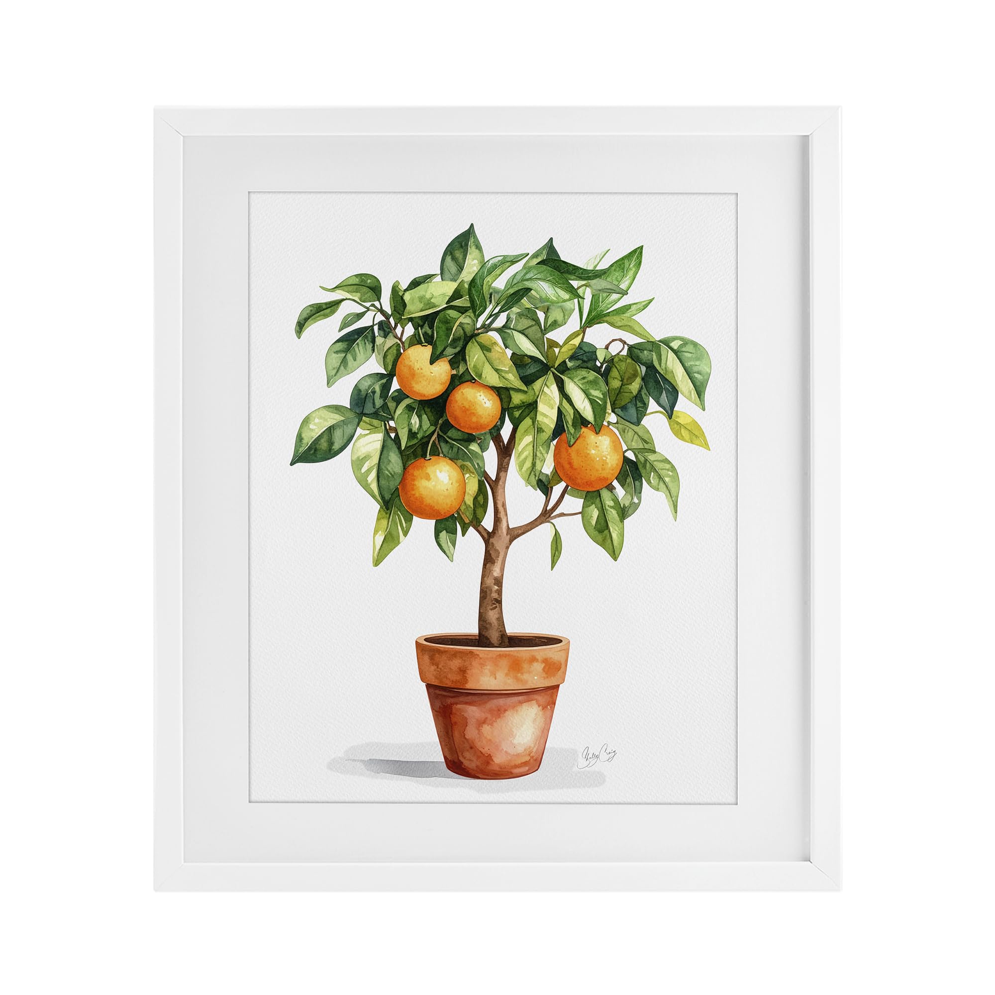 Stupell Industries Coastal White (Textured) Potted Orange Tree Botanical, 17 X 21 Inch Framed Print Under Glass