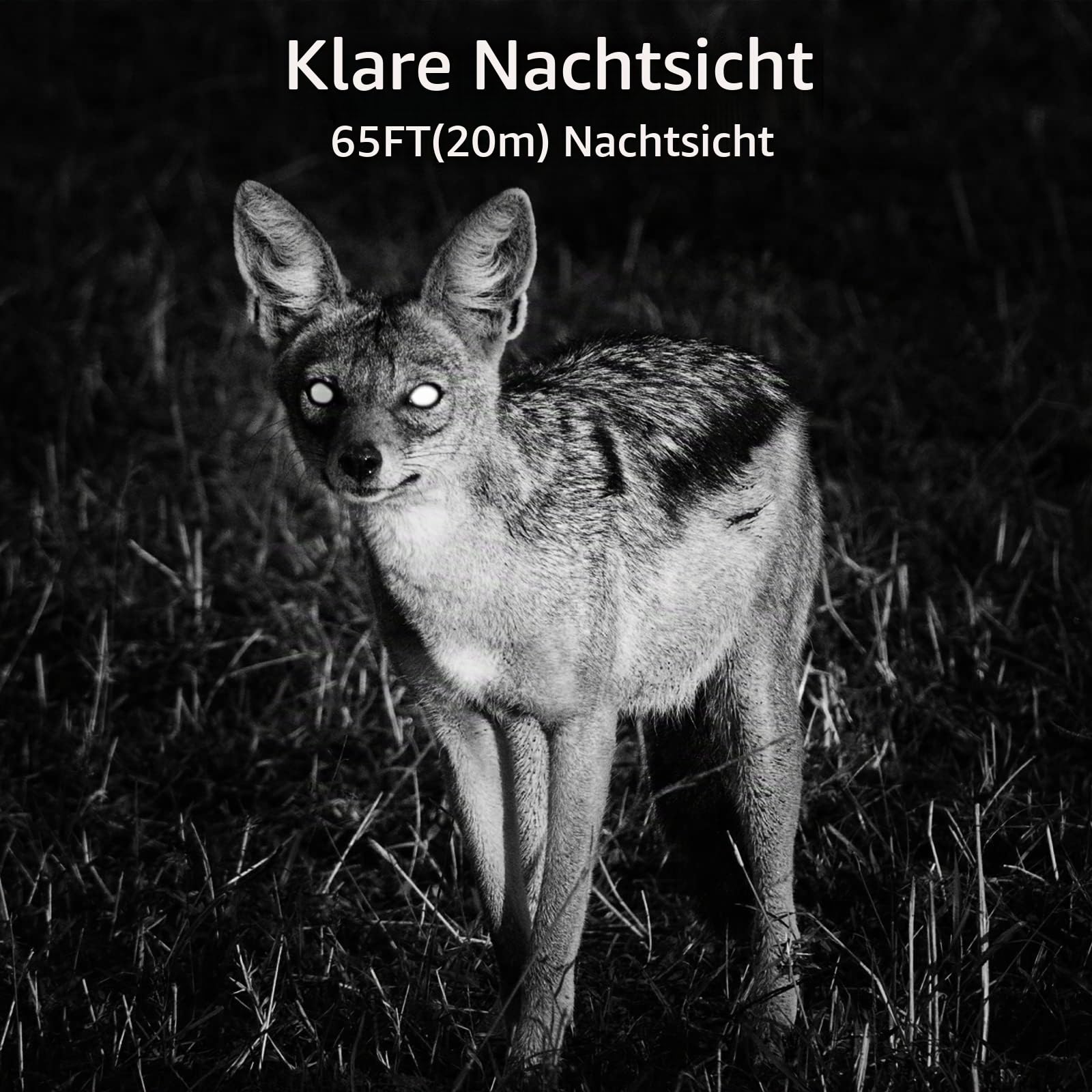BlazeVideo Wildkamera WLAN Fotofalle WiFi Beutekamera Wildtier Jagdkamera Überwachungskamera 64MP HD MP4/MOV Video mit unsichtbare Nachtsicht Bewegungsmelder IP66 Wasserdicht