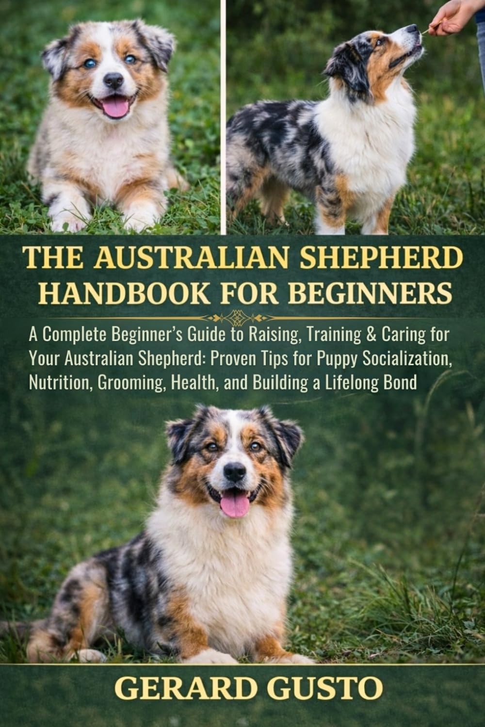 THE AUSTRALIAN SHEPHERD HANDBOOK FOR BEGINNERS: A Complete Beginner’s Guide to Raising, Training & Caring for Your Australian Shepherd: Proven Tips ... Health, and Building a Lifelong Bond