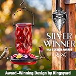 Kingsyard Colibri en verre pour l'extérieur Suspension, 20 oz Les mangeoires de colibris avec 9 Ports d'alimentation de la preuve d'abeilles & Mouton fourmi, facile à nettoyer et à recharger (rouge)