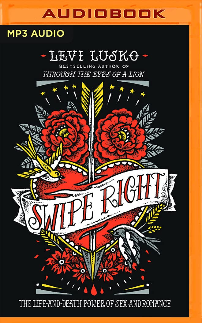 Swipe Right MP3 CD – Unabridged, February 21, 2017