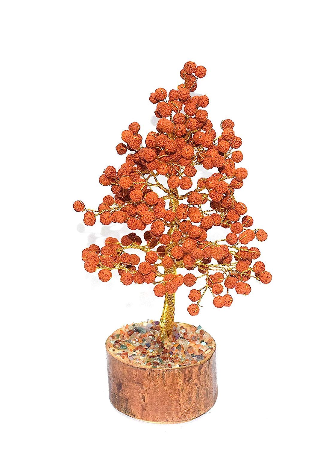 Energised 5 Mukhi Rudraksha Tree | Rudraksha Tree for Good Luck, Health, Wealth, Prosperity and Spiritual Bliss