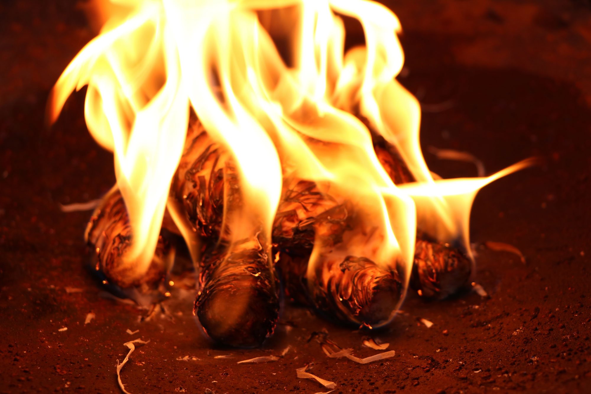 MGC24 Allume-feu en Laine de Bois et Cire 10 kg (760 Pièces) pour Cheminée et Barbecue