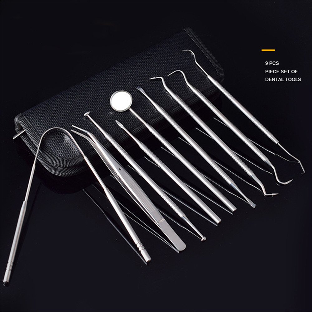 9Pcs Stainless Steel Dental Tools Dentist Teeth Clean With Leather Case