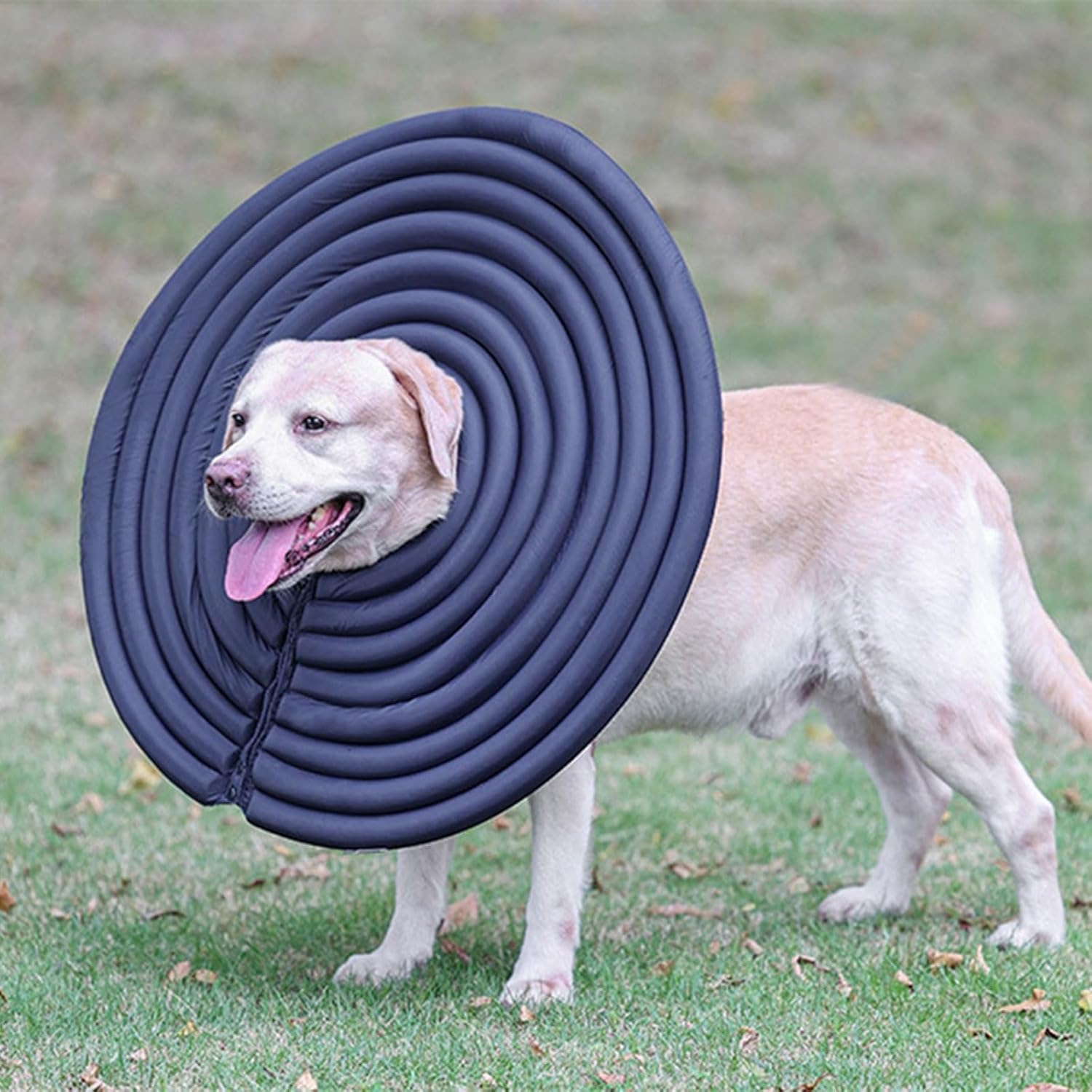 Recovery Cone for Pet Kitten Small to Large Dogs Recovery Collar Neck with Sticker Soft for Dogs After