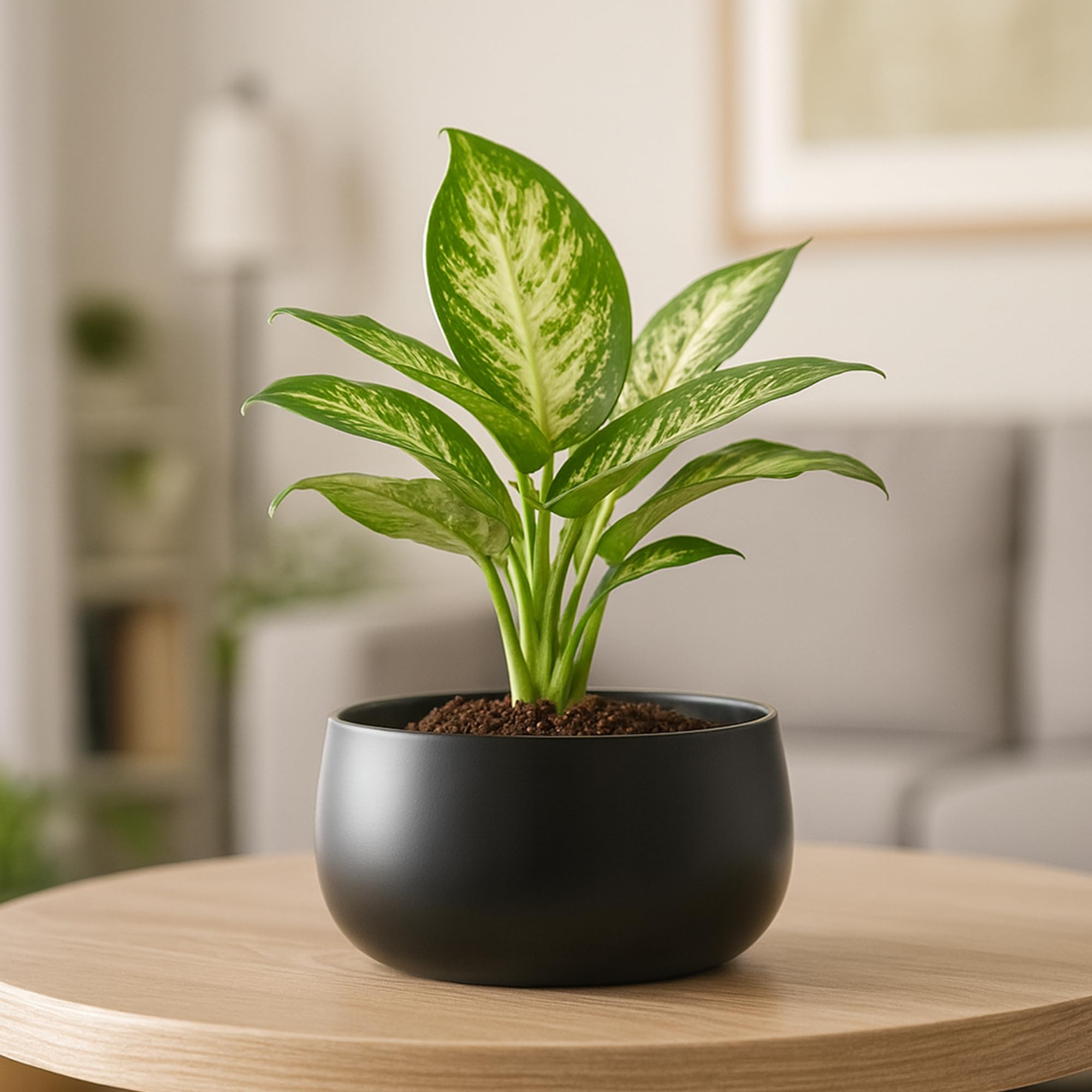 Urban Plant Metal Flower Planter For Living Room | Office Decor Item | Succulent Pots | Table Top Planter | Gift Item, Black-image-13